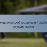 Δοκιμαστικός Αγώνας: Δυναμική Ομάδας, Αρχηγία, Ηγεσία
