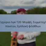 Εγχώρια Λιγκ T20: Μορφή, Συμμετοχή παικτών, Εμπλοκή φιλάθλων