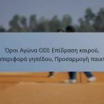 Όροι Αγώνα ODI: Επίδραση καιρού, Συμπεριφορά γηπέδου, Προσαρμογή παικτών