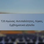 T20 Αγώνας: Αντιπαλότητες, Λίγκες, Εμβληματικά γήπεδα