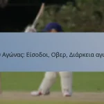 T20 Αγώνας: Είσοδοι, Οβερ, Διάρκεια αγώνα