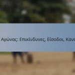 T20 Αγώνας: Επικίνδυνες, Είσοδοι, Κανόνες
