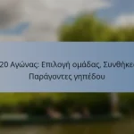 T20 Αγώνας: Επιλογή ομάδας, Συνθήκες, Παράγοντες γηπέδου