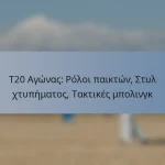 T20 Αγώνας: Ρόλοι παικτών, Στυλ χτυπήματος, Τακτικές μπολινγκ