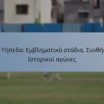 T20 Γήπεδα: Εμβληματικά στάδια, Συνθήκες, Ιστορικοί αγώνες